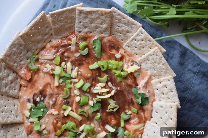 A BBQ chicken dip made with shredded chicken, cream cheese, sour cream, BBQ sauce, and cheese. This BBQ dip makes a great party appetizer or game day snack.