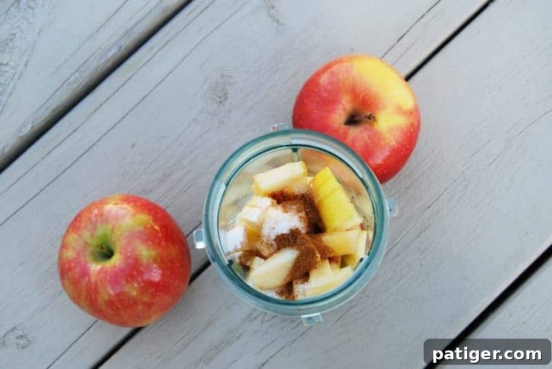 Cinnamon, sugar, and water added to cup of blender with chopped apples.