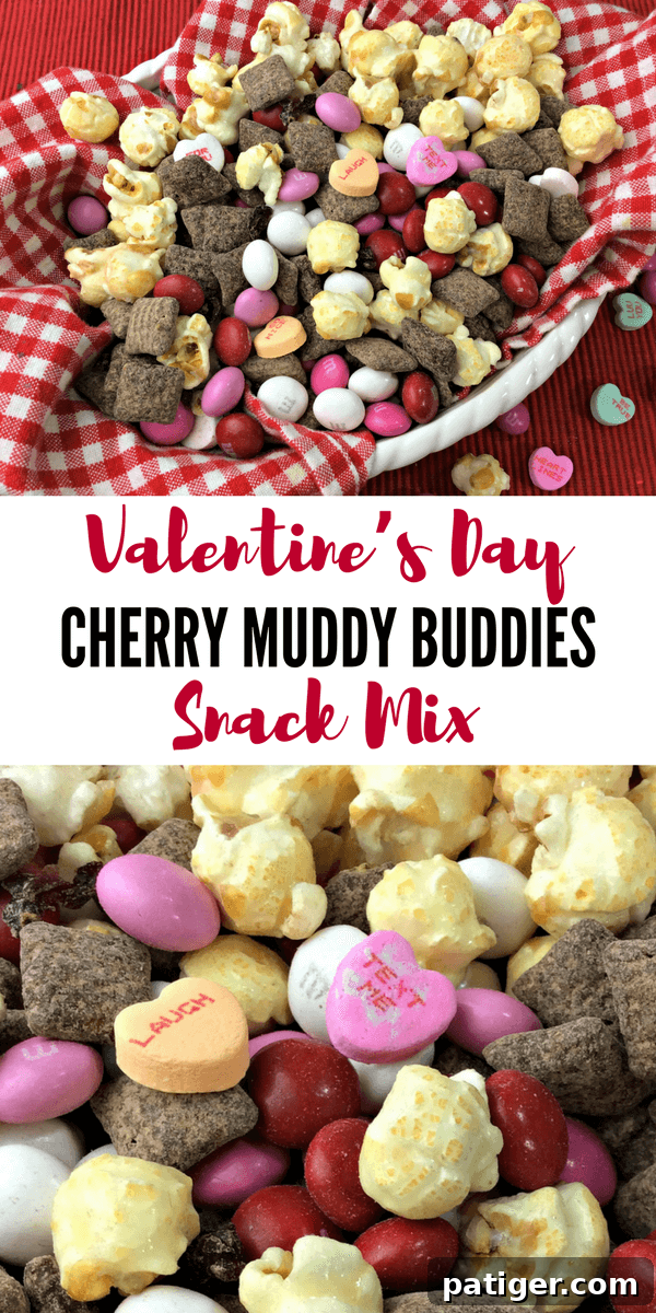 Sweet Valentine Medley 2 Valentine's Day Cherry Muddy Buddy Snack Mix.