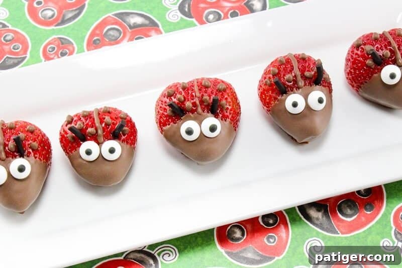 Chocolate covered strawberries decorated to look like ladybugs.