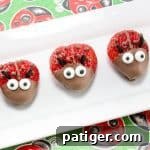 Small strawberry ladybug recipe image