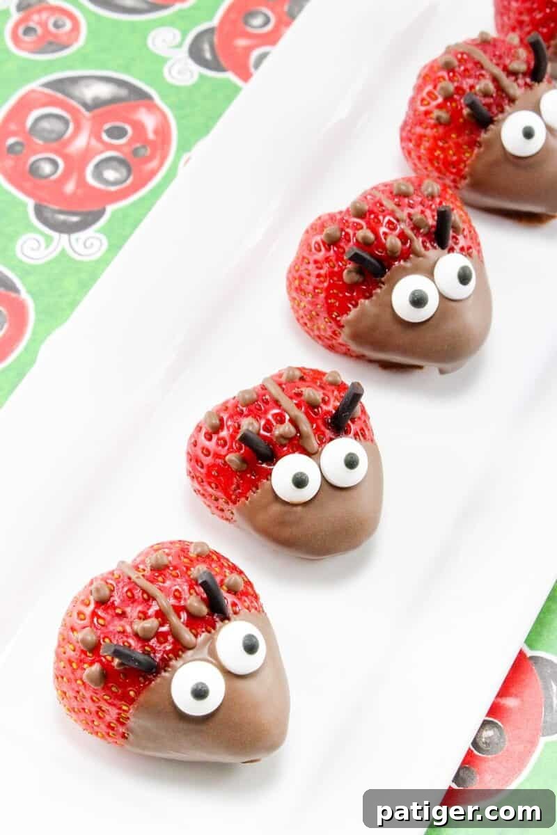 Strawberry ladybugs on whit serving platter.