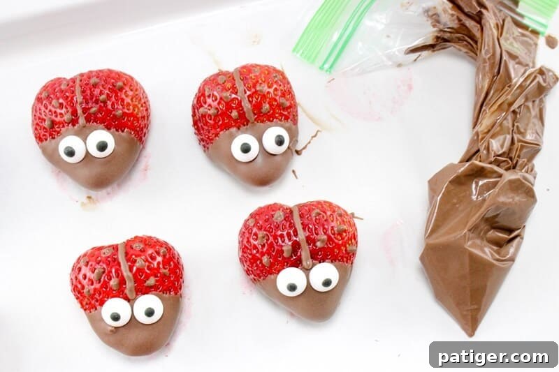 Strawberries with melted chocolate piped on to make a line down their back and dots like a ladybug. 