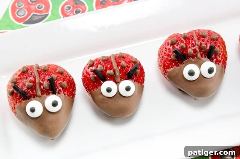 Finished strawberry ladybugs on white serving platter.