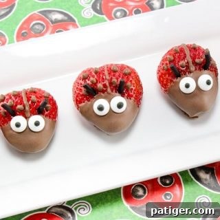 Strawberry Ladybugs Recipe Image