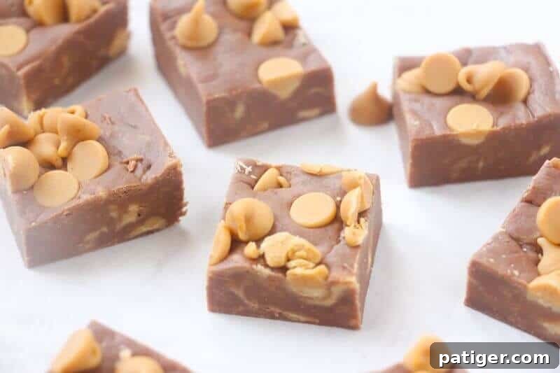 Irresistible 3-ingredient chocolate peanut butter fudge with peanut butter chips.