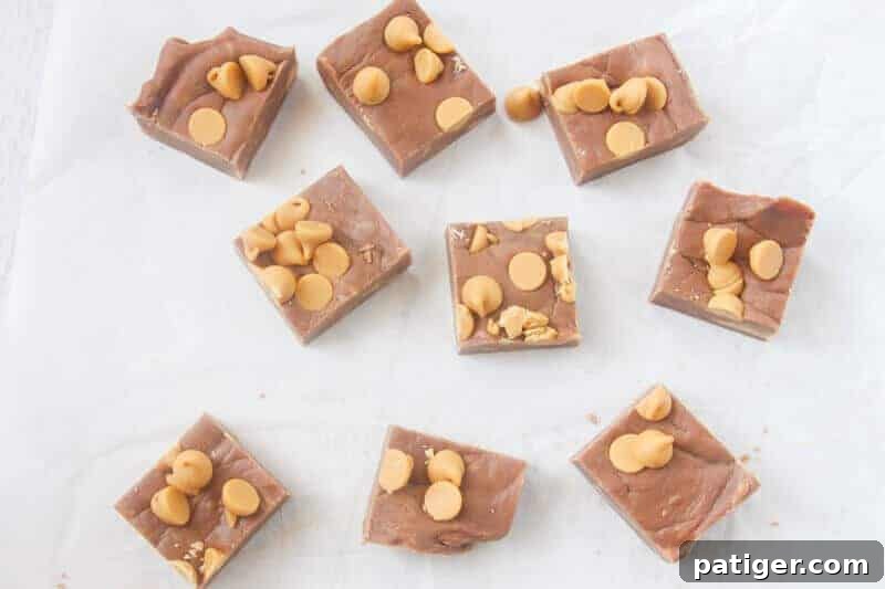 Square pieces of peanut butter chocolate fudge with peanut butter chips on top.
