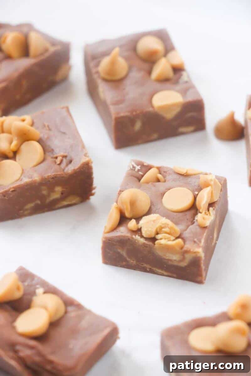 Easy chocolate peanut butter fudge with peanut butter chips sliced into bite-sized squares.