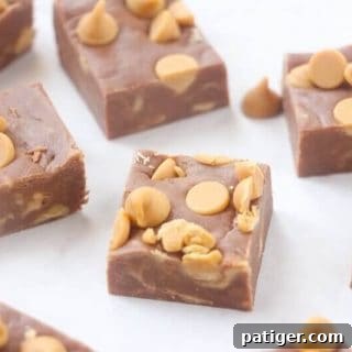 Easy chocolate peanut butter fudge cut in squares.