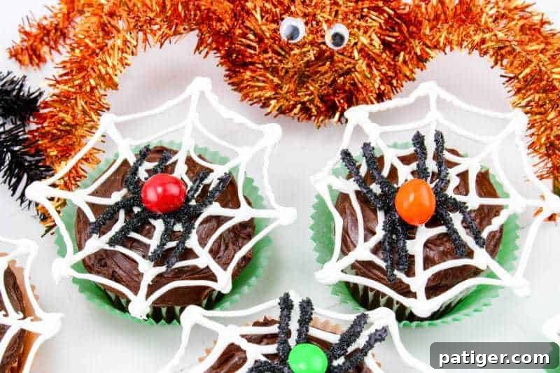 Chocolate frosted cupcakes with spider webs and spiders on top.