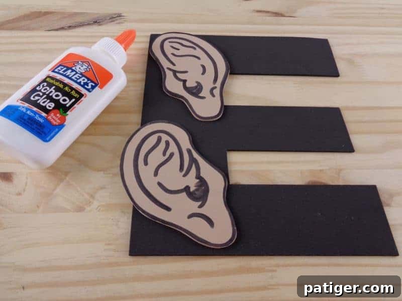 Two craft foam ears being glued onto the top left and right curves of the letter E shape.