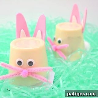 Two cheerful Easter bunny pudding cups, showcasing the completed craft from the recipe guide, ready to be enjoyed.