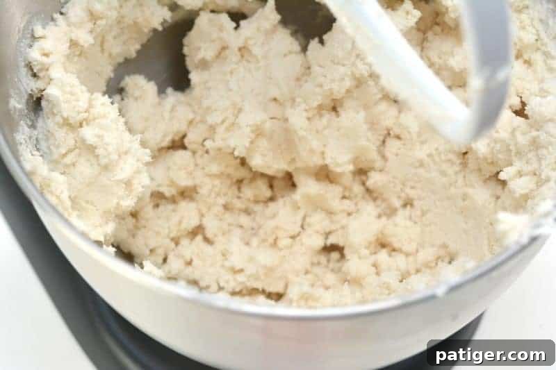 Pink Princess Sweet Dough Magic 5 Mixing cake mix and white whipped icing in a stand mixer to form a crumbly mixture.