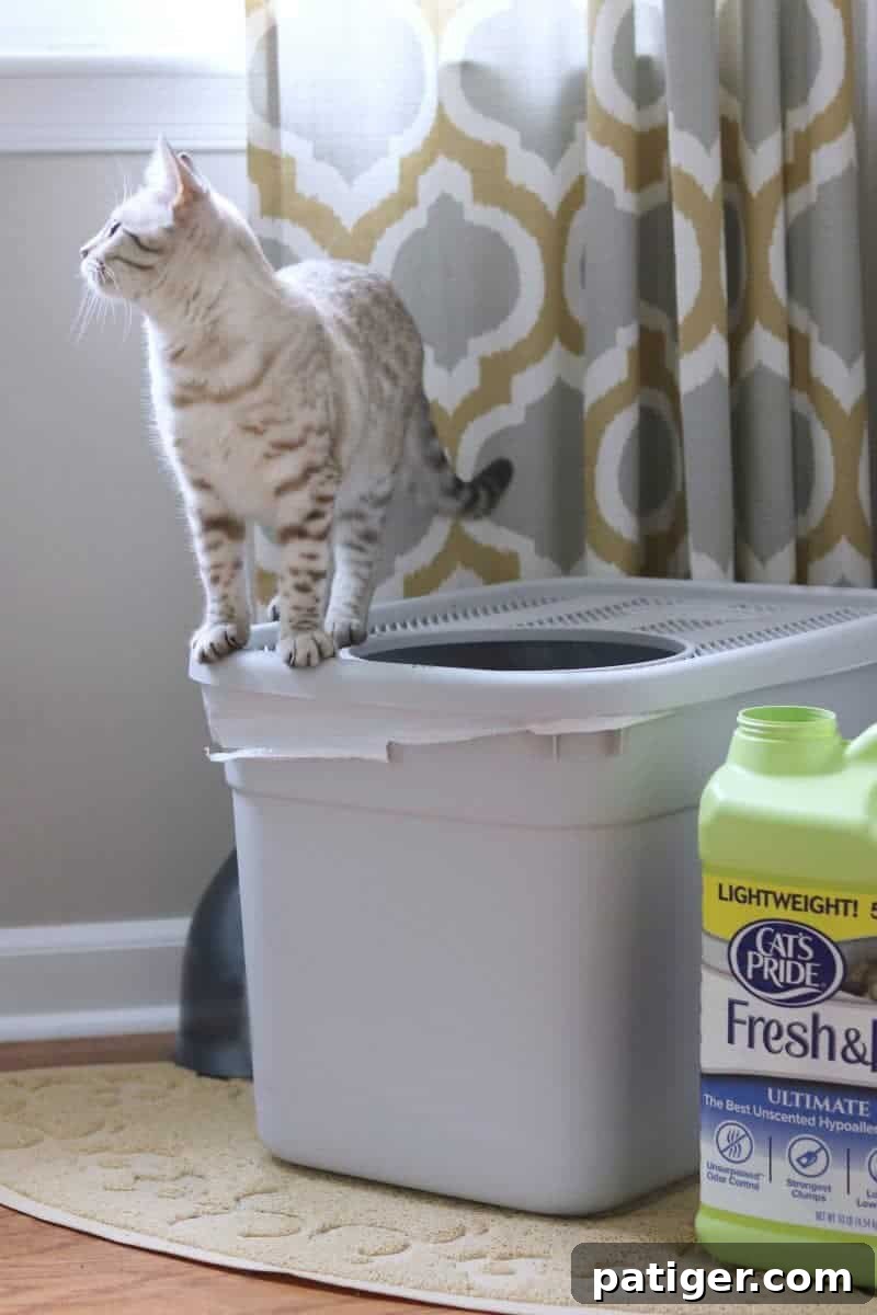 Close-up of Cat's Pride cat litter packaging, emphasizing quality.