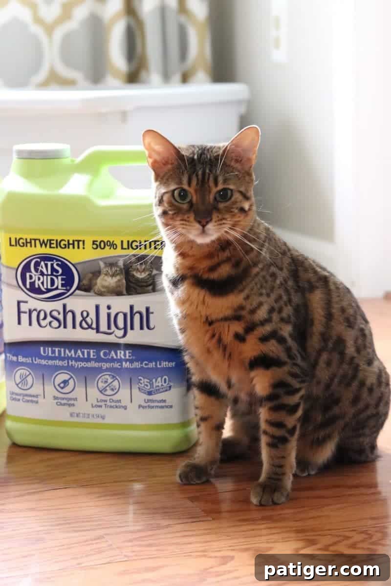 Khaleesi the cat posing next to a jug of Cat's Pride Ultimate Care litter.