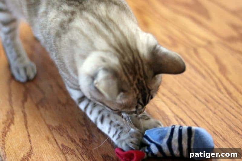 Playful cat, Khaleesi, batting at a simple homemade sock toy.