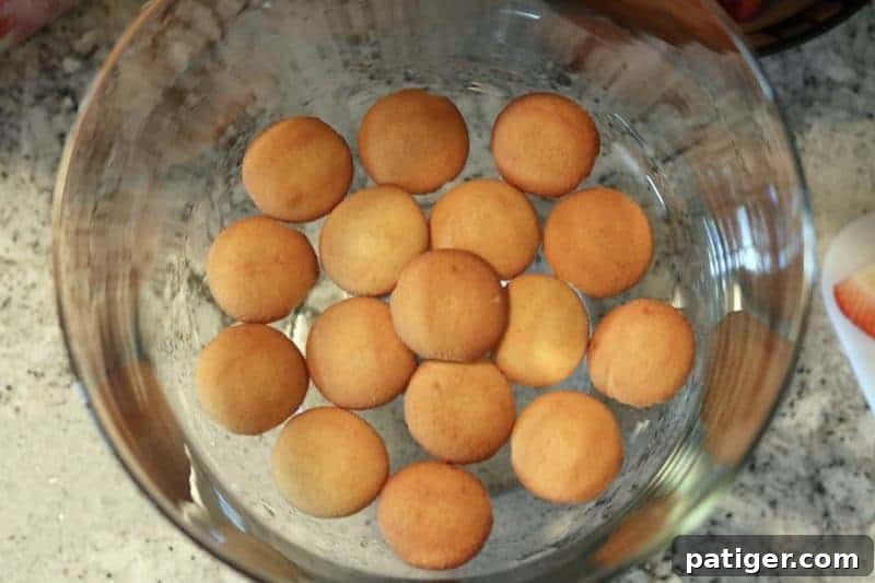 Stars and Stripes Berry Trifle 5 The first layer of Nilla Wafers being placed at the bottom of a trifle dish for a Patriotic Berry Trifle.