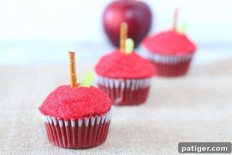Sweet Start Apple Cupcakes 2 Delicious red apple-shaped cupcakes, perfect for back to school celebrations