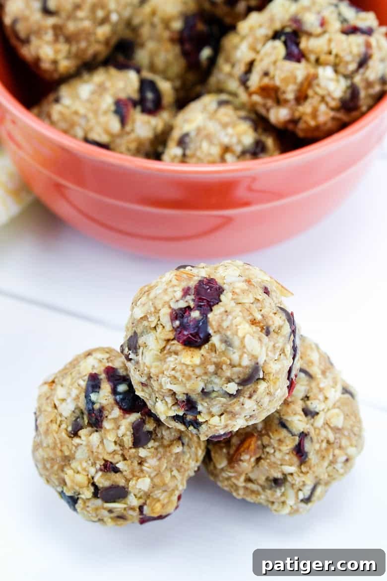 Trail Mix Energy Balls