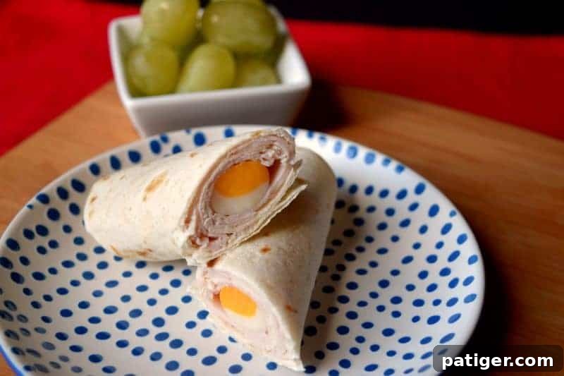 turkey and cheese tortilla roll-ups