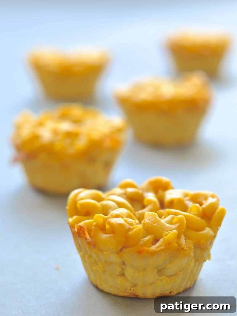 Mac and Cheese Bites