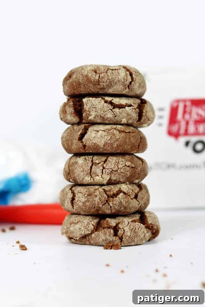 Mexican Crinkle Cookies with a Kick, featuring Gustus Vitae Spicy Chocolate Cinnamon Cane Sugar, are the perfect combination of sweet and savory. A close-up shot of the cookies showing their signature cracked tops dusted with powdered sugar, set against a cozy autumn backdrop, inviting readers to try this unique dessert.