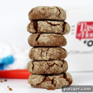 mexican crinkle cookies