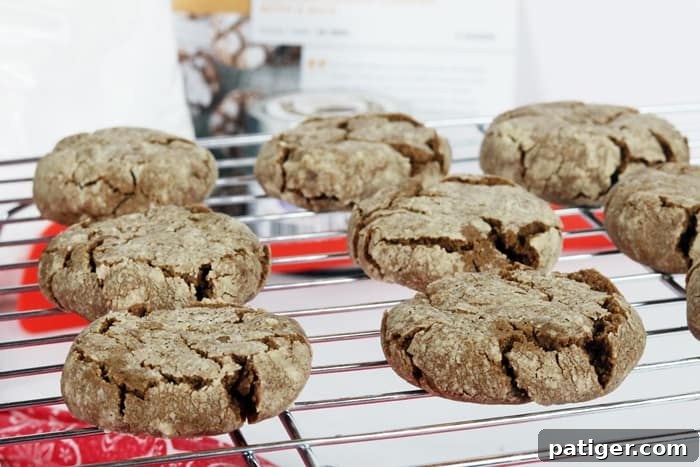 A beautifully arranged plate of Chocolate Mexican Cookies with a Kick, showcasing their distinctive crinkled texture and powdered sugar dusting. This image emphasizes the delightful twist of spice and rich chocolate on a beloved cookie classic, perfect for those seeking unique flavor combinations in their baked goods.