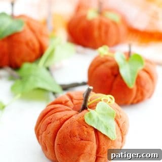 Enjoy Fall sensory play with the little ones with this taste-safe pumpkin spice playdough recipe made with non-toxic ingredients.