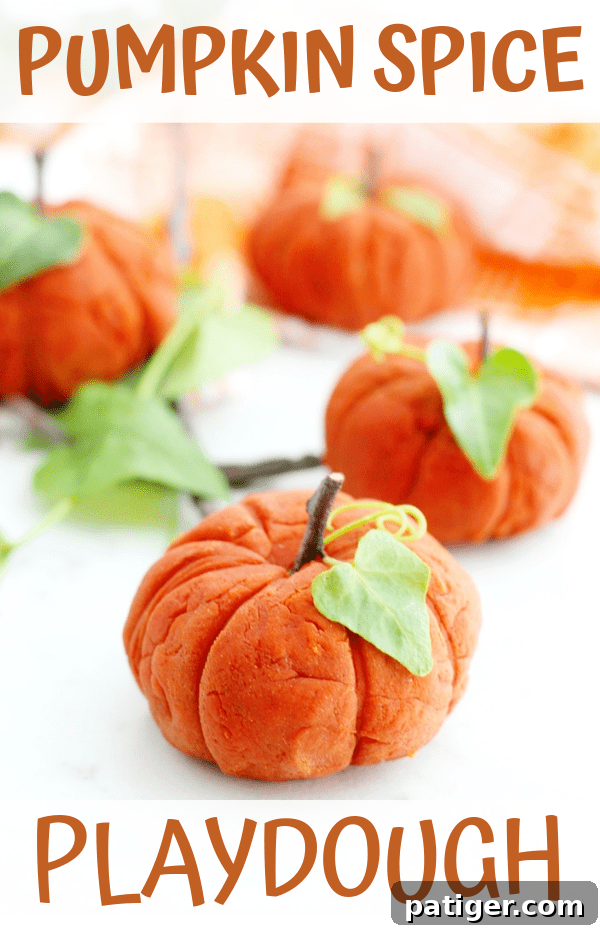 Sensory Pumpkin Spice Playdough 14 Pin this taste-safe pumpkin spice playdough recipe for future Fall sensory play