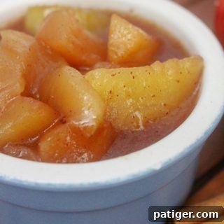 Slow cooker fried apples