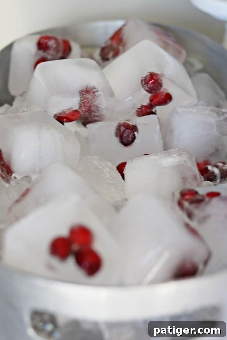 Level Up Your Party with a Custom Soda Bar 5 Festive cranberry ice cubes, adding a touch of color and seasonality to any drink.