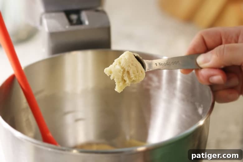 Rounded teaspoon of Italian Anise Cookie dough