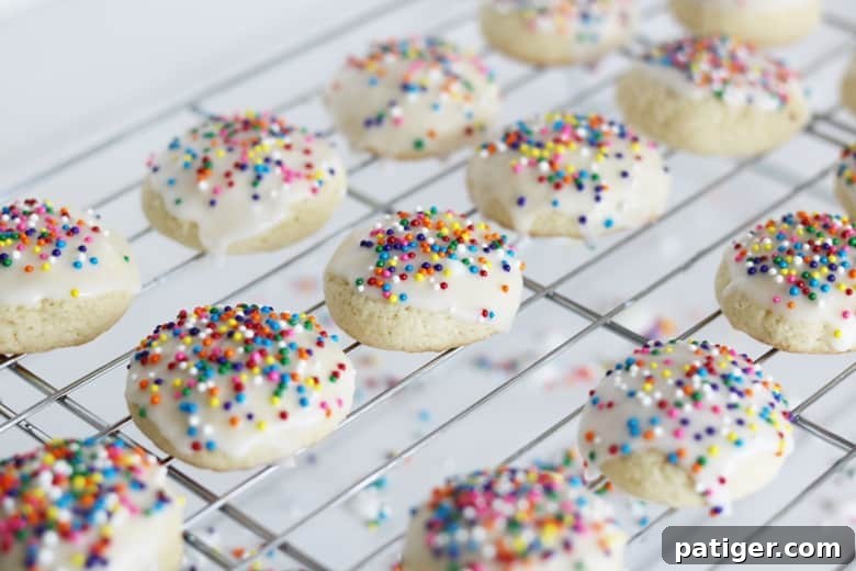 Also known as Italian Christmas cookies, Italian anise cookies have a unique liquorice flavor and are topped with a sweet glaze and sprinkles.