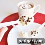 Easy-to-make chocolate spoons pair great with a cup of coffee or hot cocoa and make a great addition to any holiday party.