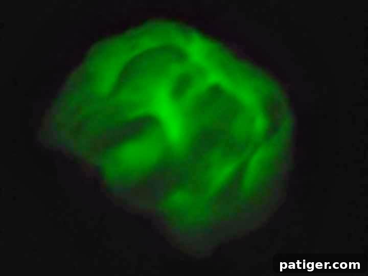 A close-up shot of a child's hands stretching homemade glow-in-the-dark crunchy slime.