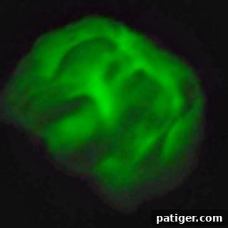 If you are looking for an easy slime recipe for the kids, you will love this DIY crunchy glow in the dark slime.