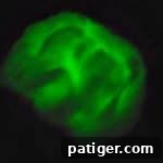 If you are looking for an easy slime recipe for the kids, you will love this DIY crunchy glow in the dark slime.