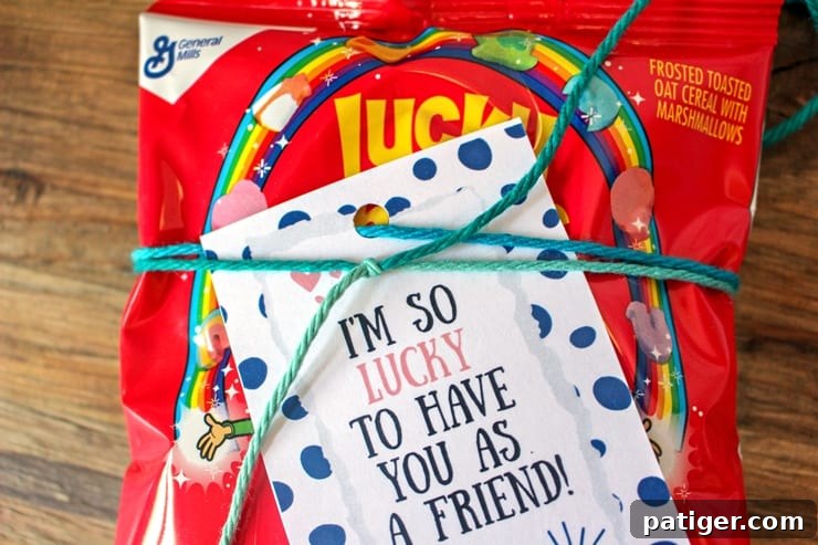 A Lucky Charms cereal bag with the 'I'm so lucky to have you as a friend' gift tag tied securely with yarn