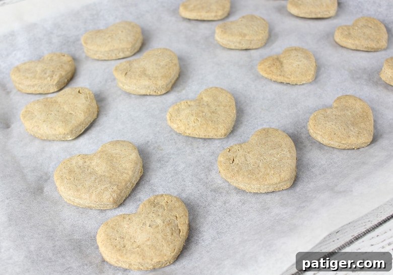 Homemade heart-shaped DIY dog treats cooling on a baking sheet, ready for your happy pup.