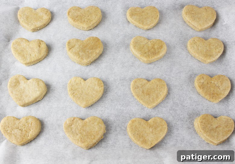Heart-shaped homemade dog treats placed neatly on a lined baking sheet, ready for baking.