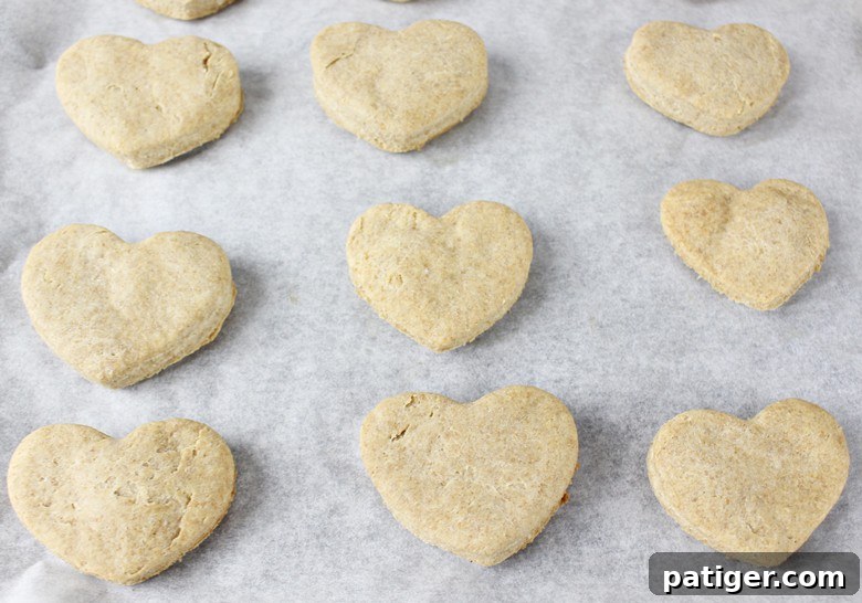 More heart-shaped DIY dog treats arranged on a baking sheet, showcasing the full batch.