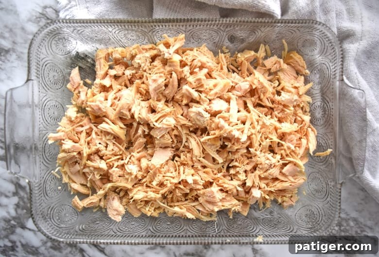 Shredded chicken evenly spread in a casserole dish, ready for layering