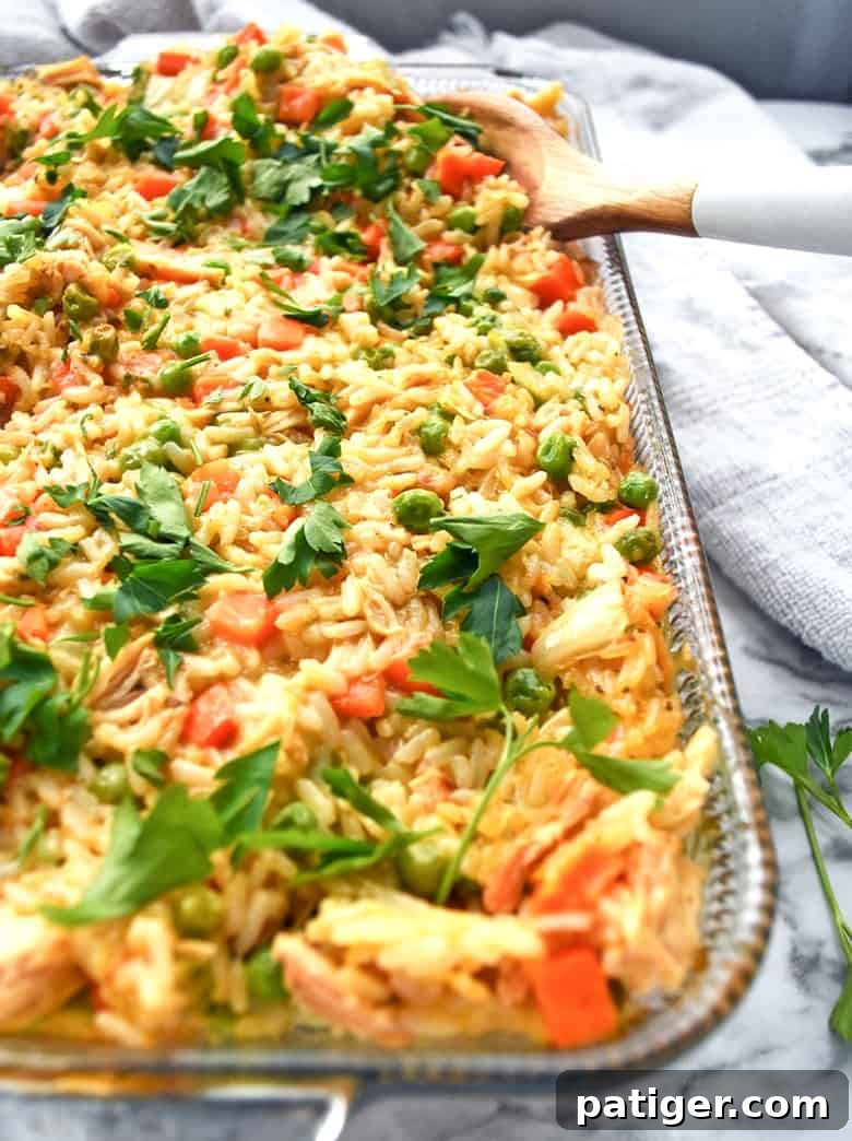 A freshly baked, creamy chicken and rice casserole garnished with fresh parsley, ready to be served