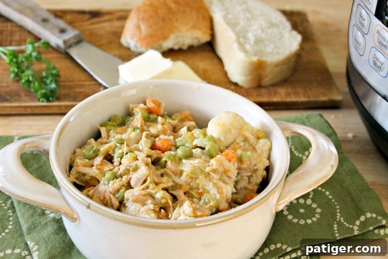 A steaming bowl of Instant Pot Chicken and Dumplings with fluffy canned biscuit dumplings, perfect for a cozy weeknight meal.