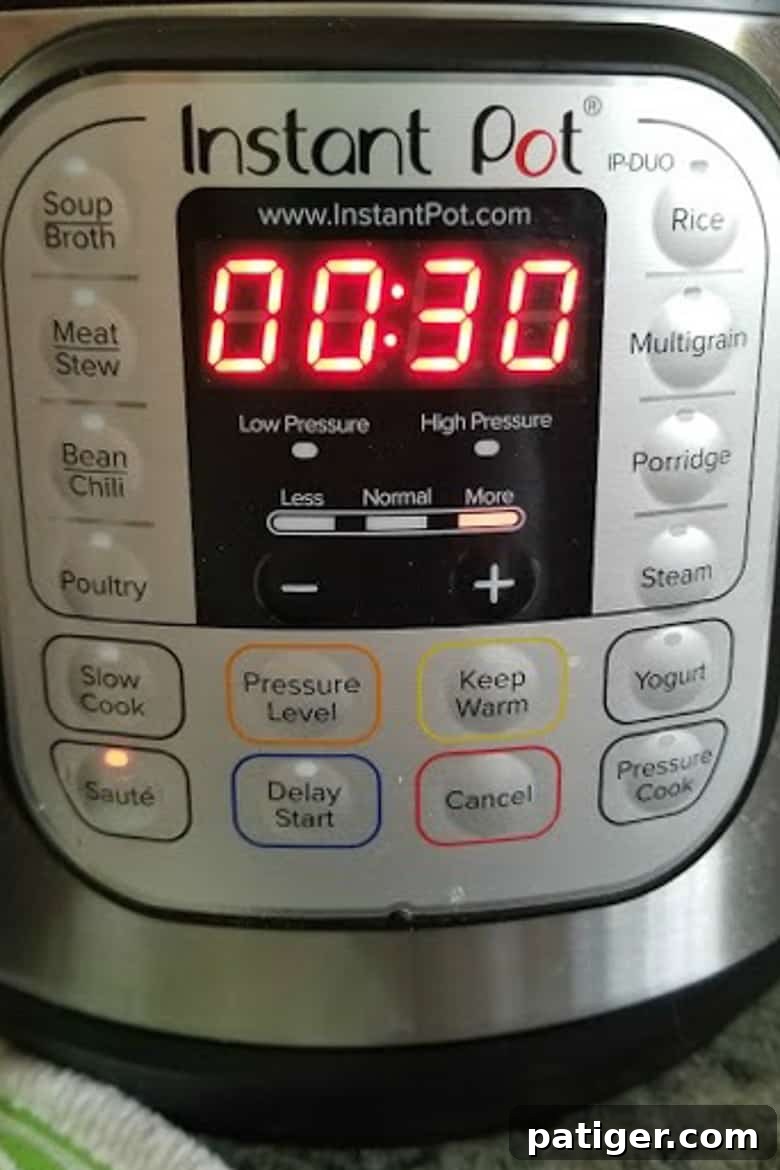 Instant Pot with lid closed and venting sealed, set to 'Saute' again for 5 minutes, to cook the biscuit dumplings.