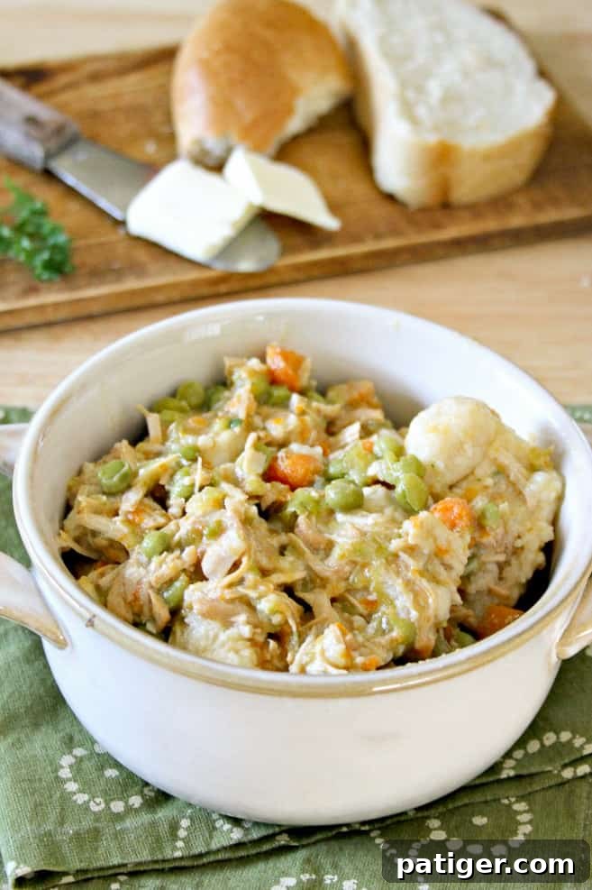 A serving of homemade Instant Pot Chicken and Dumplings garnished with fresh parsley, ready to be enjoyed.