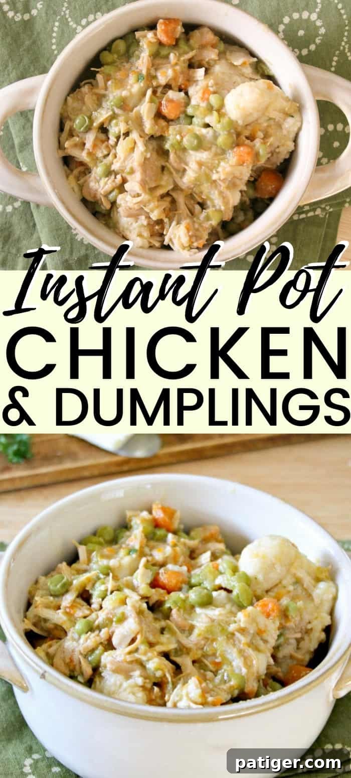 Pinterest-friendly image of the Instant Pot Chicken and Dumplings for saving and sharing.