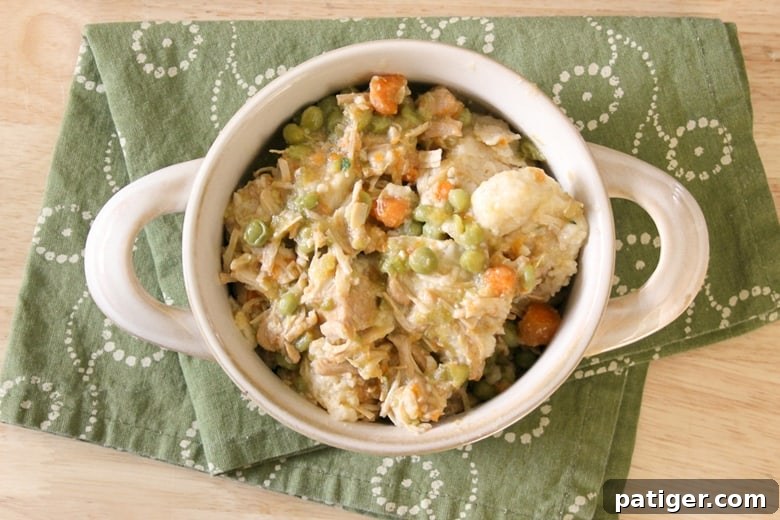 Close-up of a rustic bowl filled with Instant Pot Chicken and Dumplings, highlighting the creamy broth and tender chicken pieces.