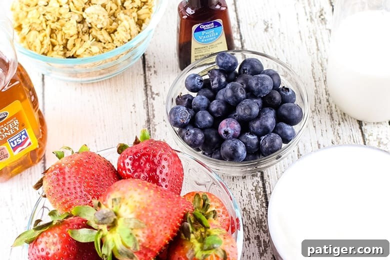 Frozen Yogurt Breakfast Bites 3 A bottle of vanilla extract and bowls of granola, blueberries, milk, yogurt, and strawberries.